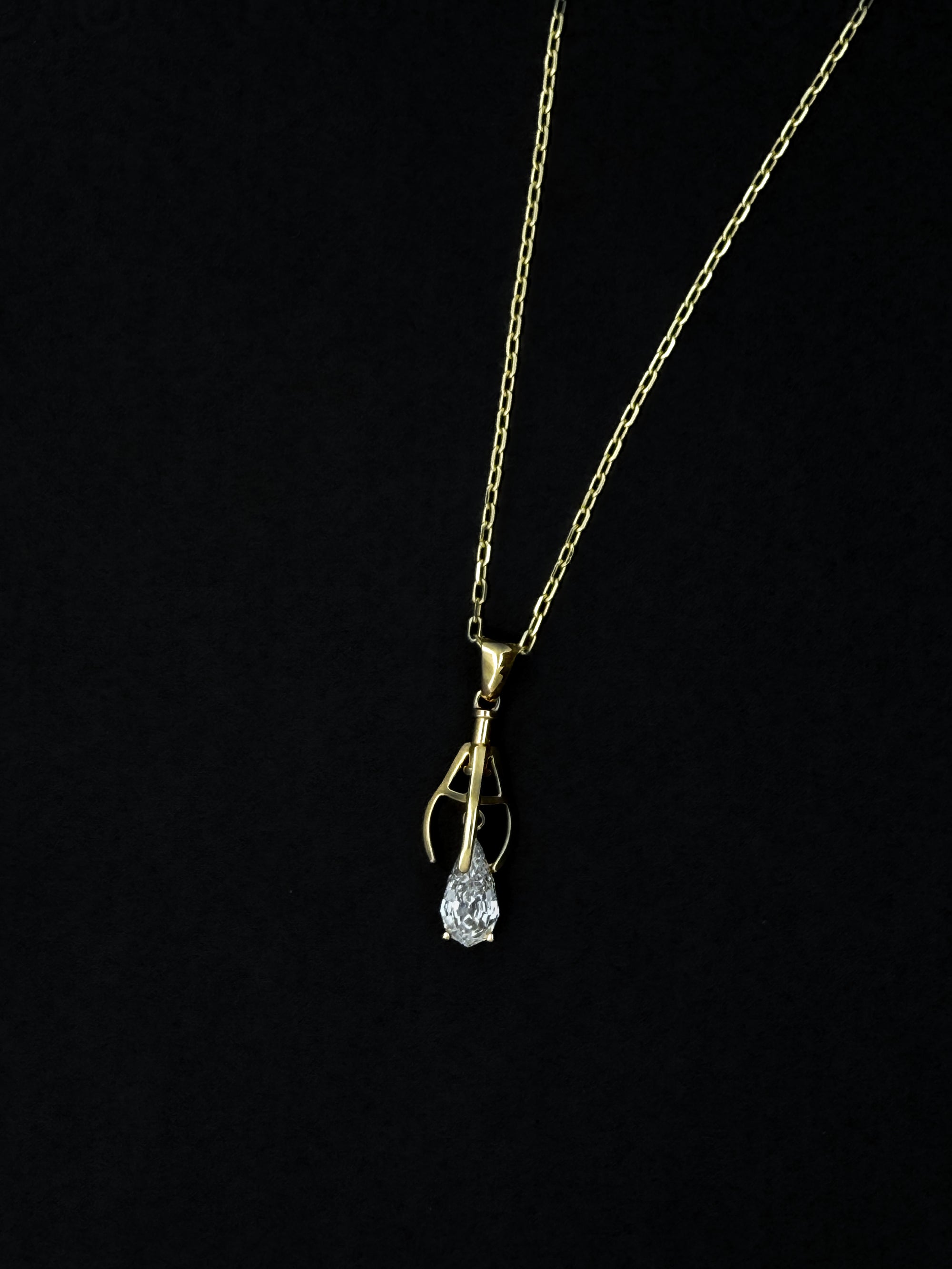The Rebel Claw Pendant Necklace