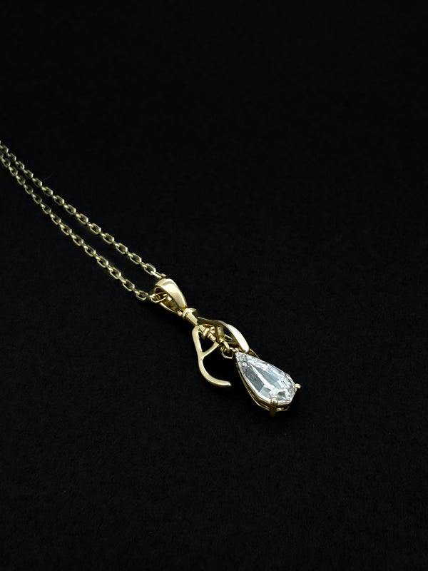 The Rebel Claw Pendant Necklace