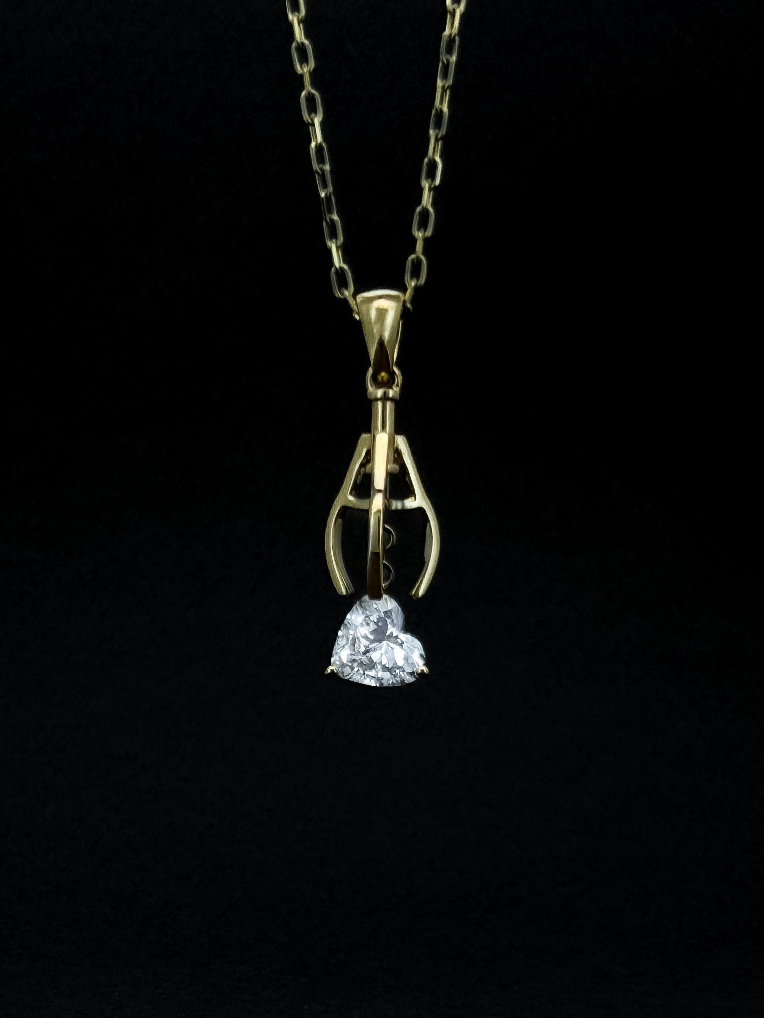 The Romantic Claw Pendant Necklace